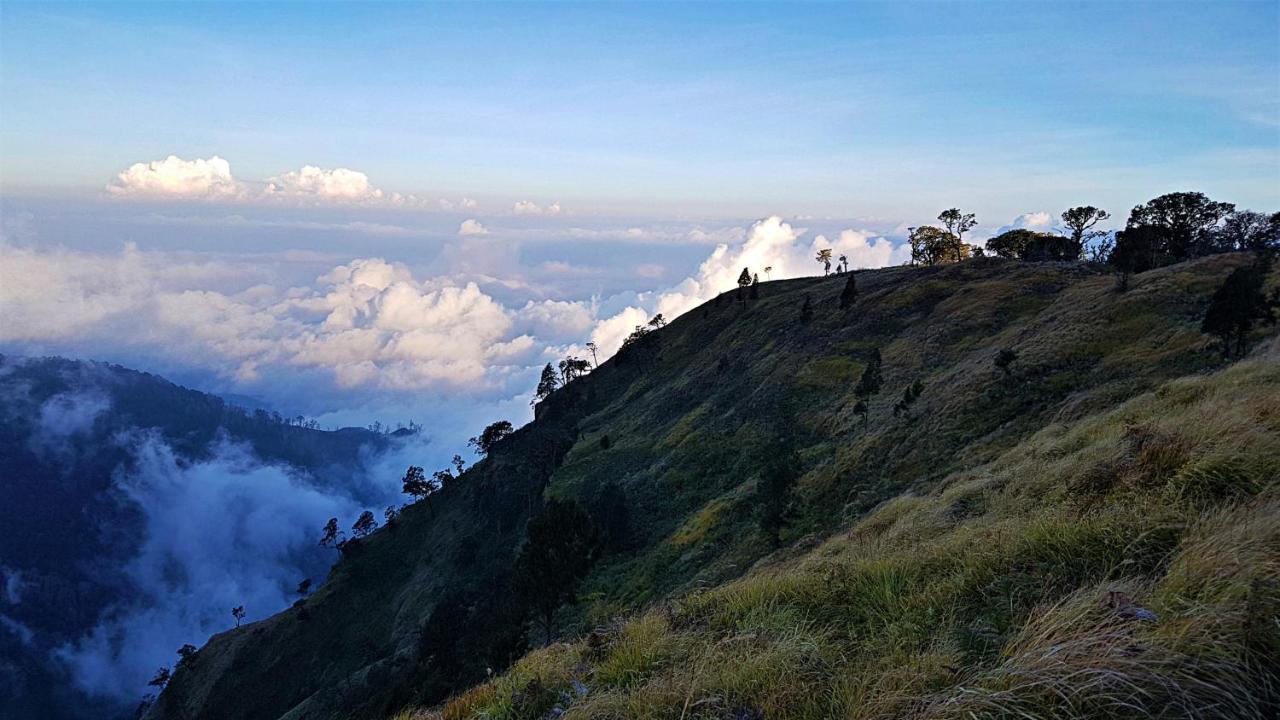 Satu Lingkung Hotel Tetebatu Kültér fotó